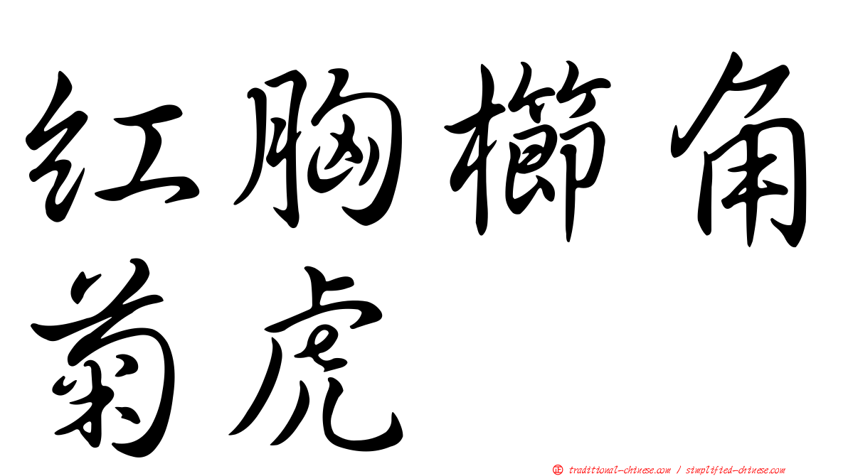 紅胸櫛角菊虎