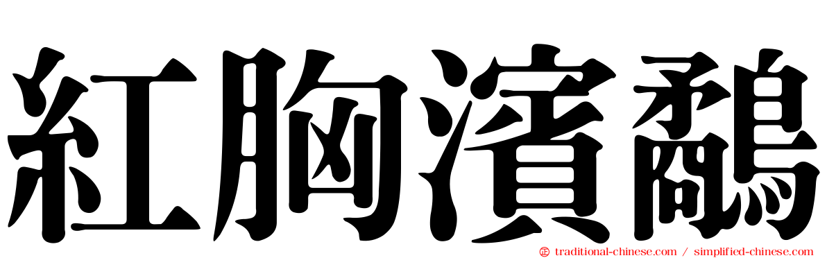紅胸濱鷸
