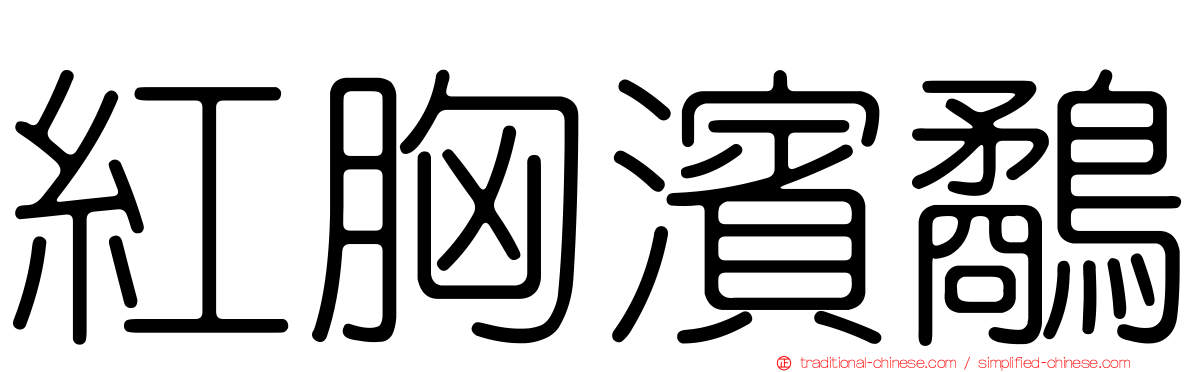 紅胸濱鷸