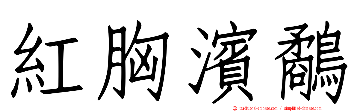 紅胸濱鷸