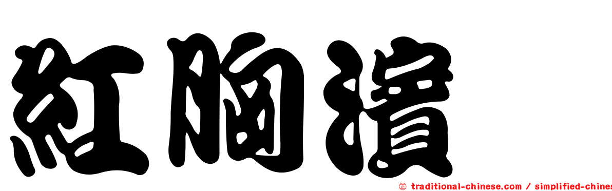 紅胸濱鷸
