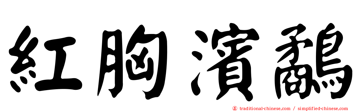 紅胸濱鷸