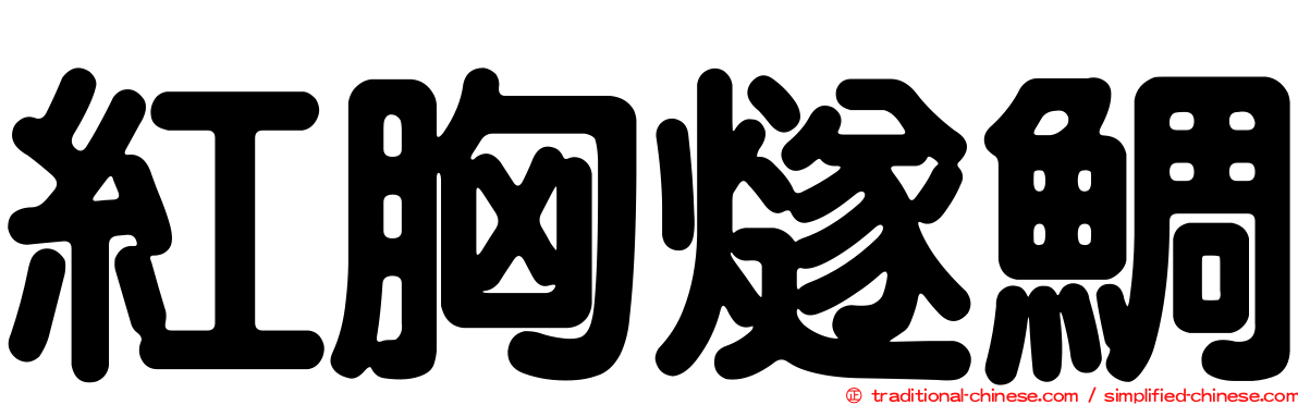 紅胸燧鯛