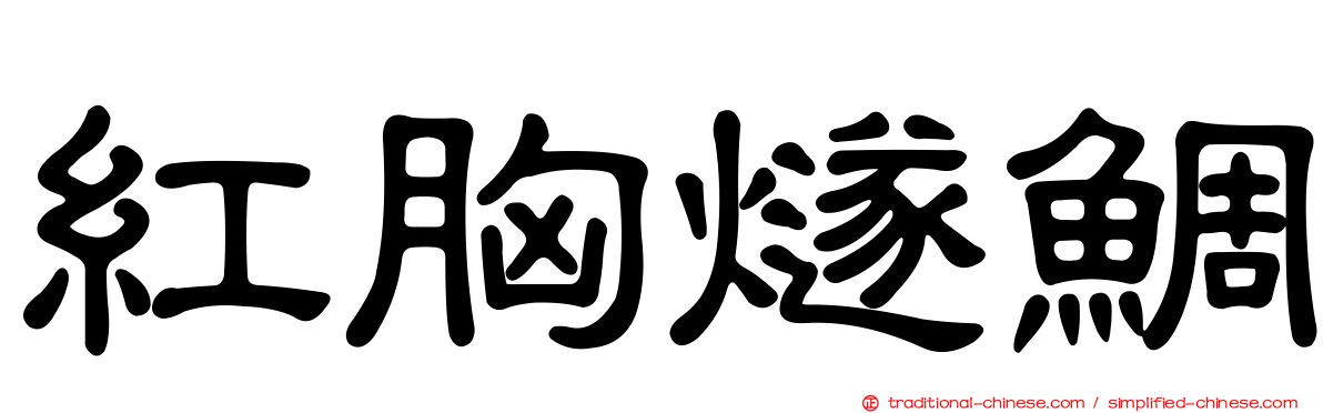 紅胸燧鯛
