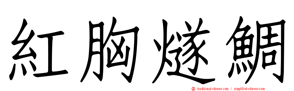 紅胸燧鯛