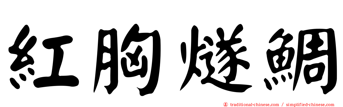 紅胸燧鯛