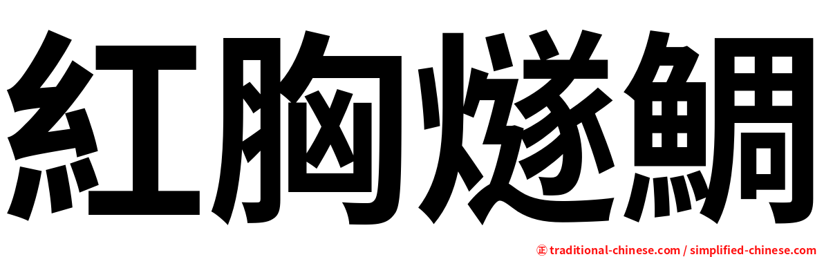 紅胸燧鯛