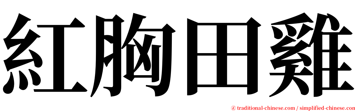 紅胸田雞 serif font