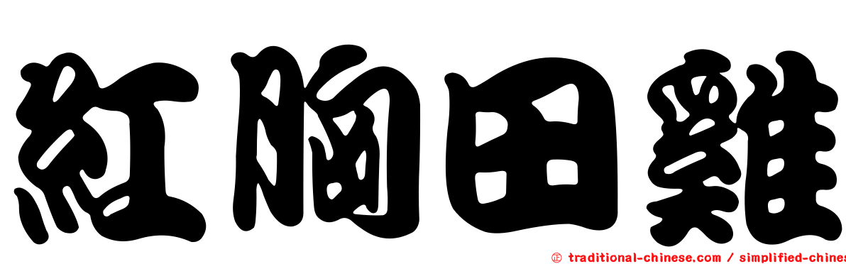 紅胸田雞