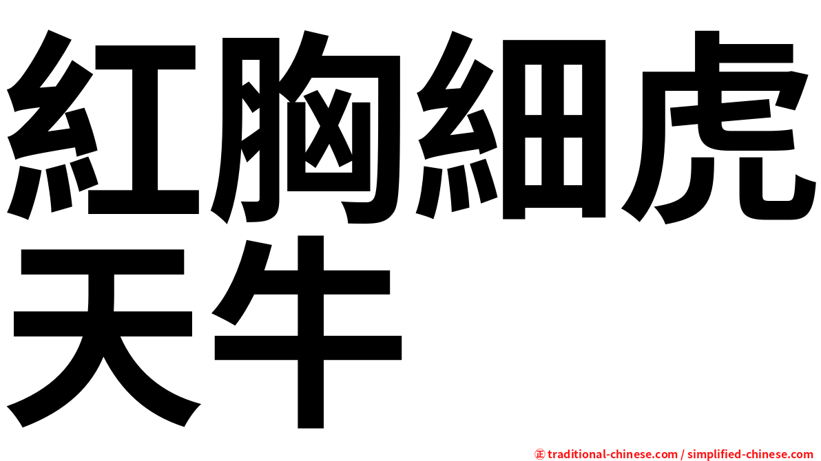 紅胸細虎天牛