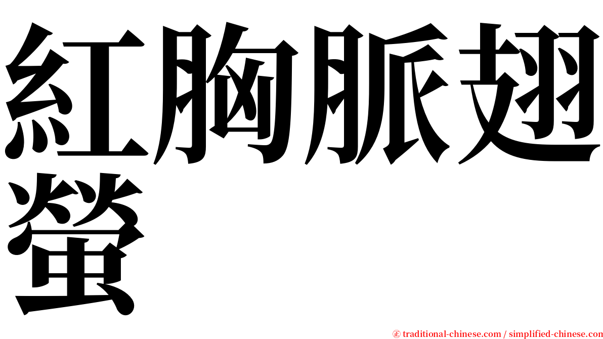 紅胸脈翅螢 serif font