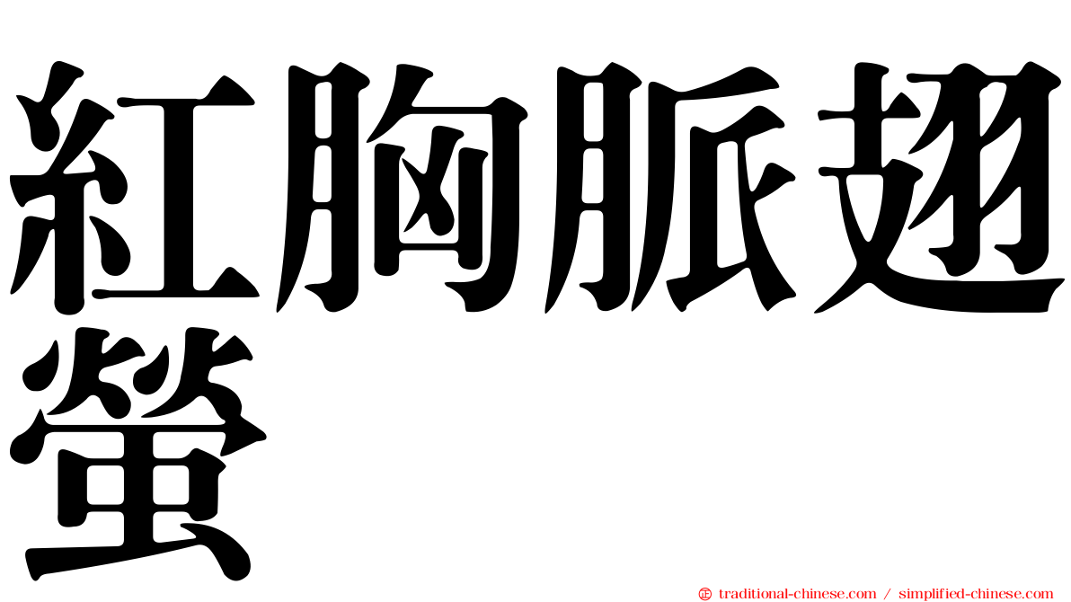 紅胸脈翅螢