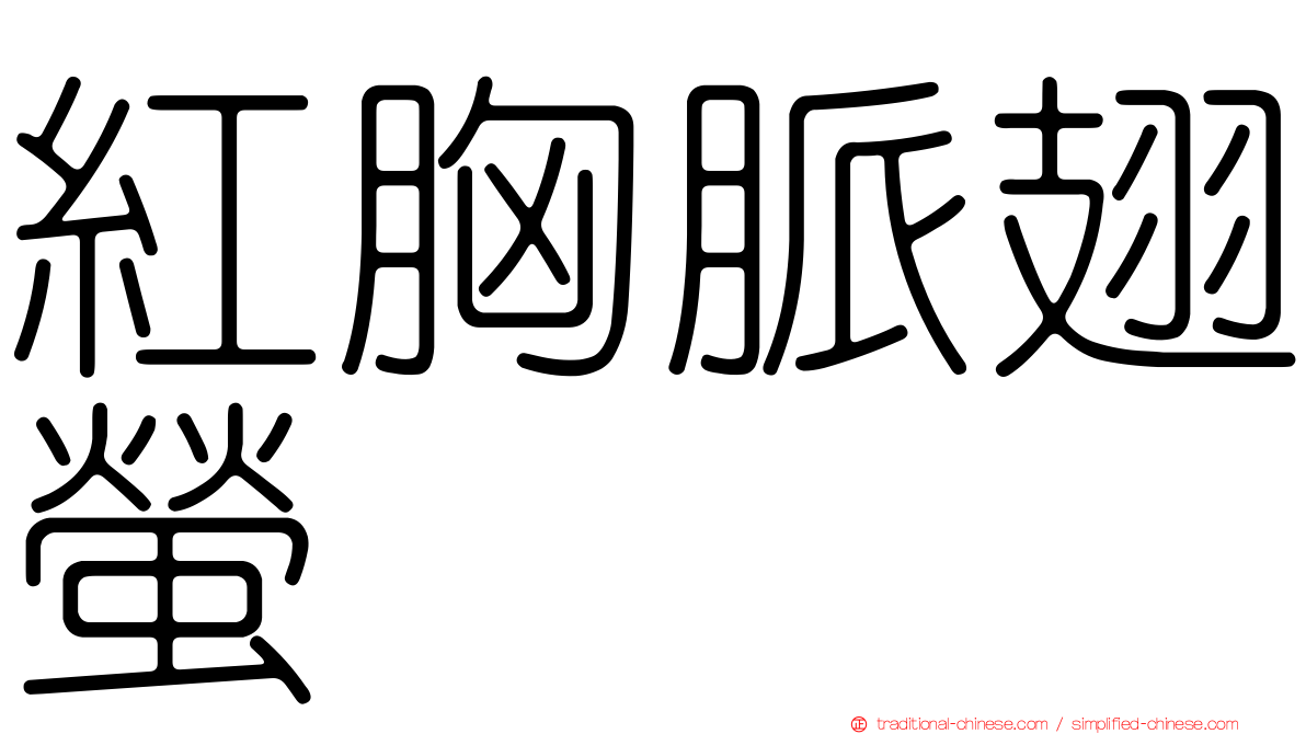 紅胸脈翅螢