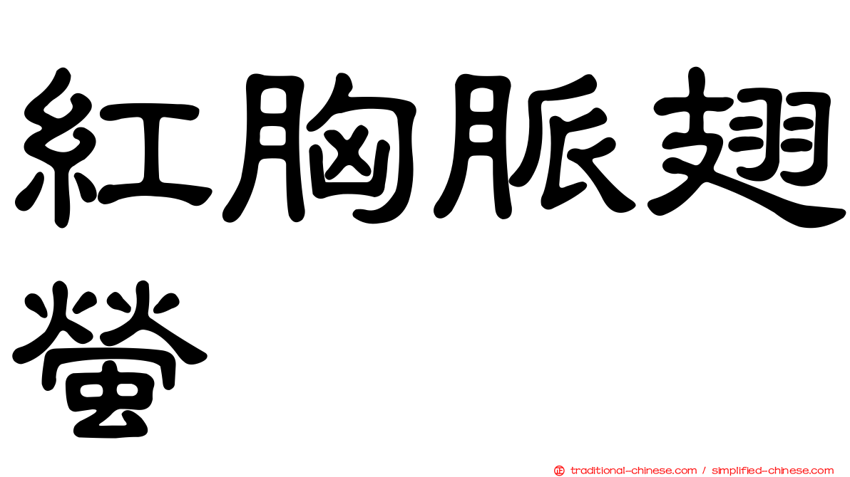 紅胸脈翅螢
