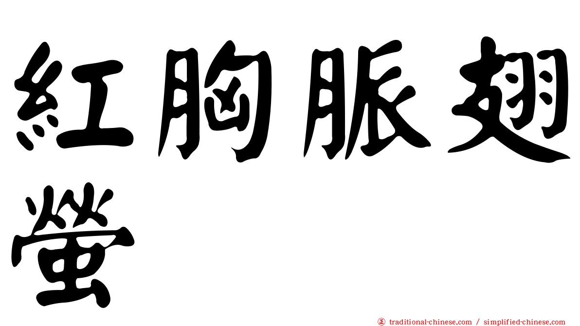 紅胸脈翅螢