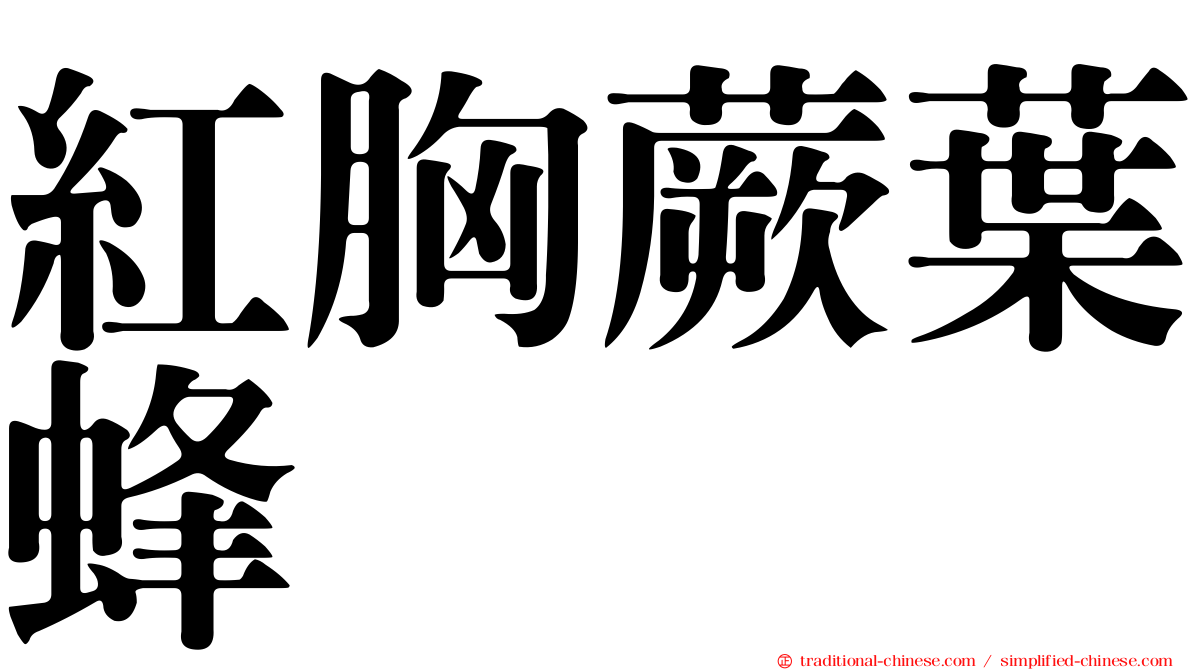紅胸蕨葉蜂