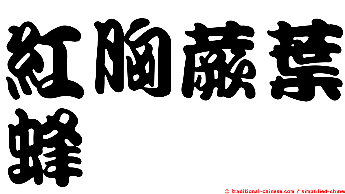 紅胸蕨葉蜂