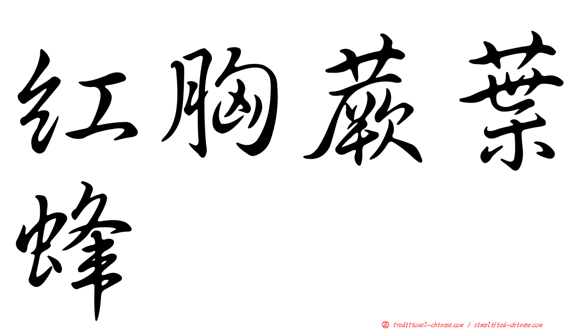 紅胸蕨葉蜂