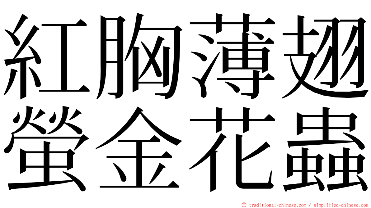 紅胸薄翅螢金花蟲 ming font