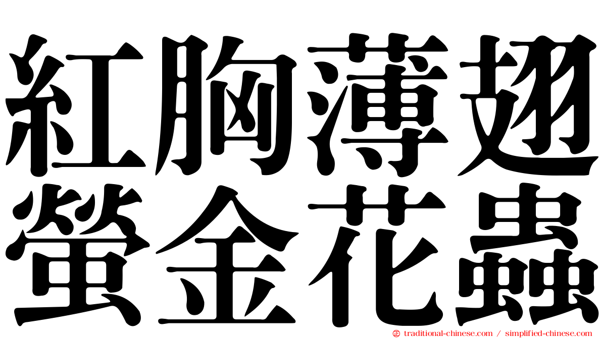 紅胸薄翅螢金花蟲