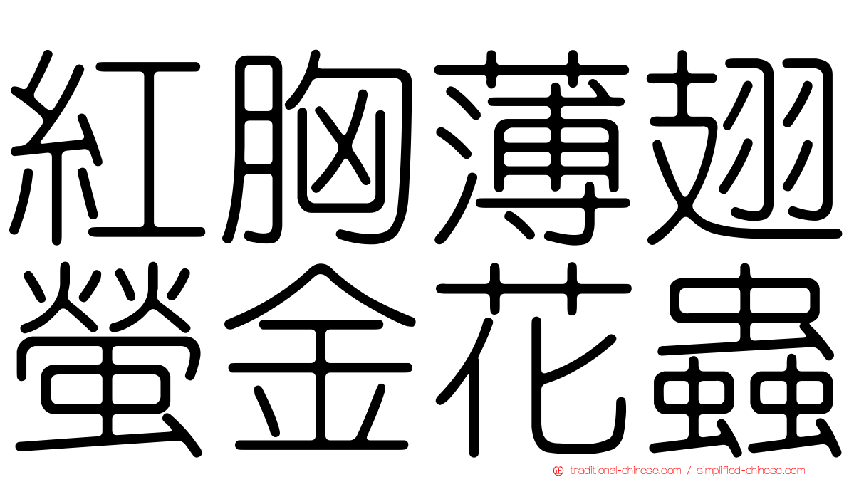 紅胸薄翅螢金花蟲