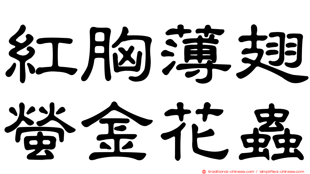 紅胸薄翅螢金花蟲