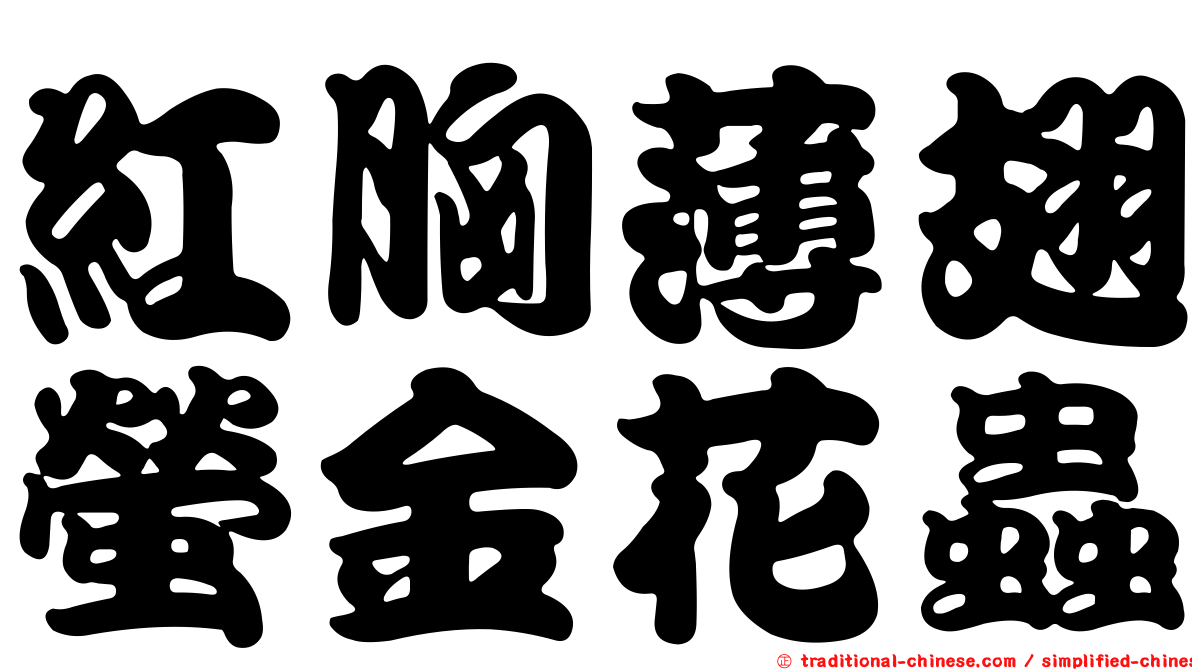 紅胸薄翅螢金花蟲