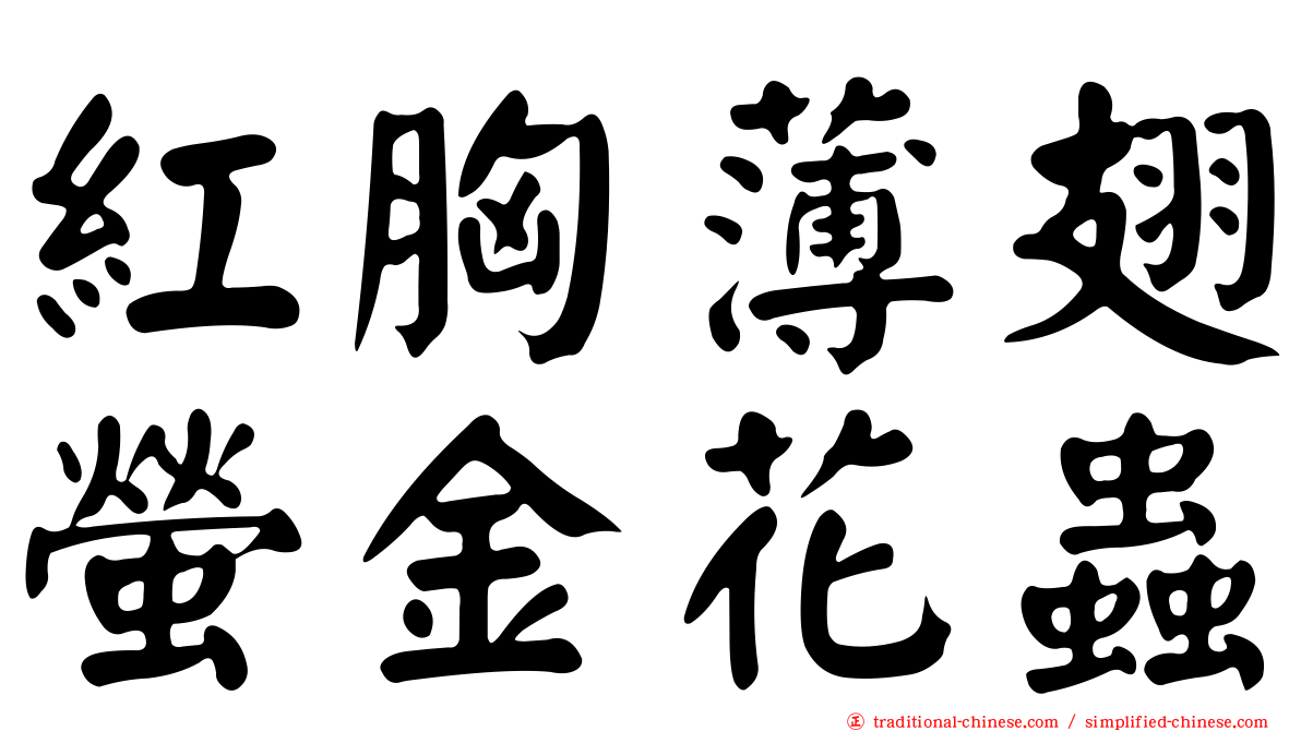 紅胸薄翅螢金花蟲