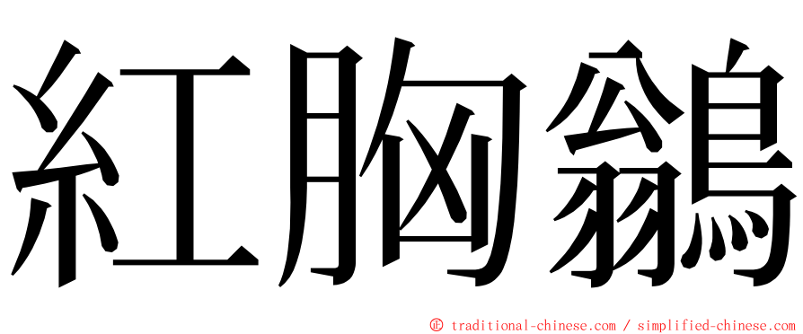 紅胸鶲 ming font