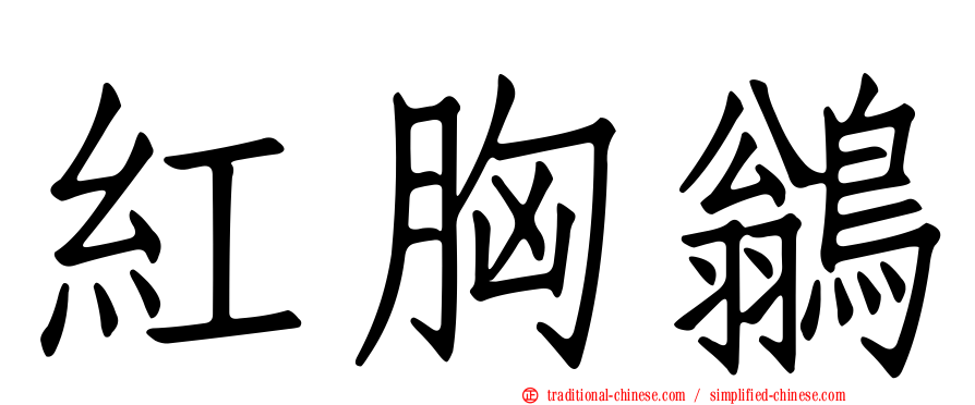 紅胸鶲