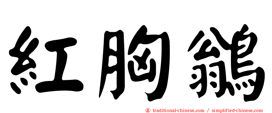 紅胸鶲