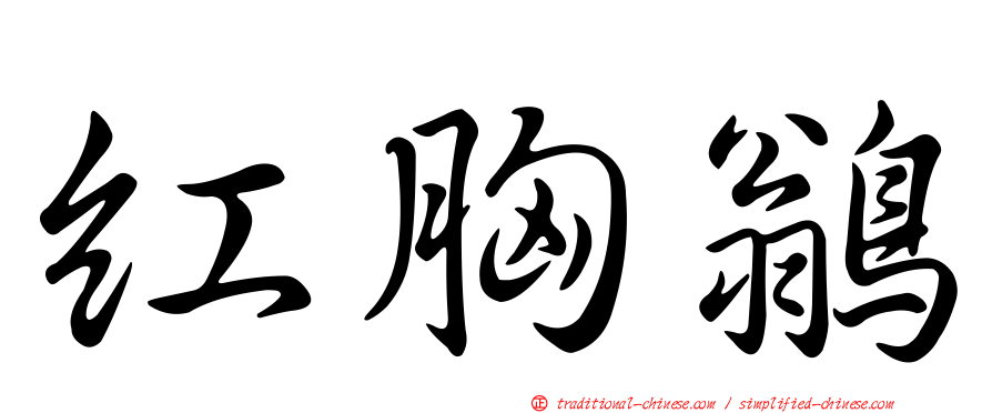 紅胸鶲