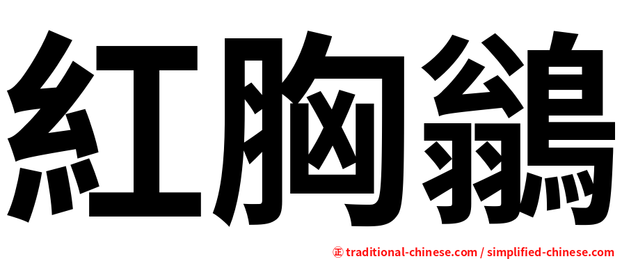 紅胸鶲