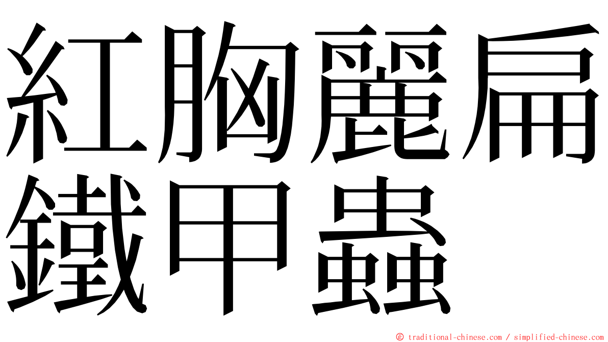 紅胸麗扁鐵甲蟲 ming font