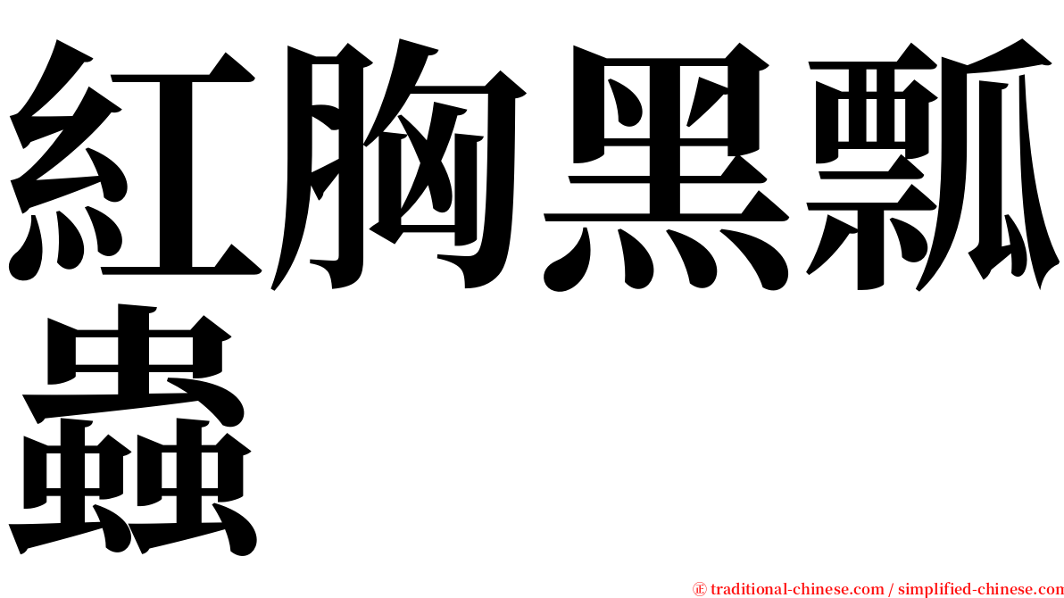 紅胸黑瓢蟲 serif font