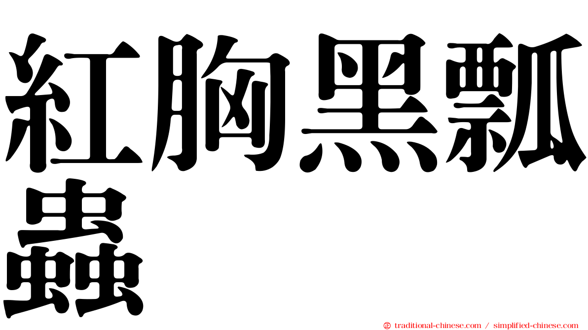 紅胸黑瓢蟲