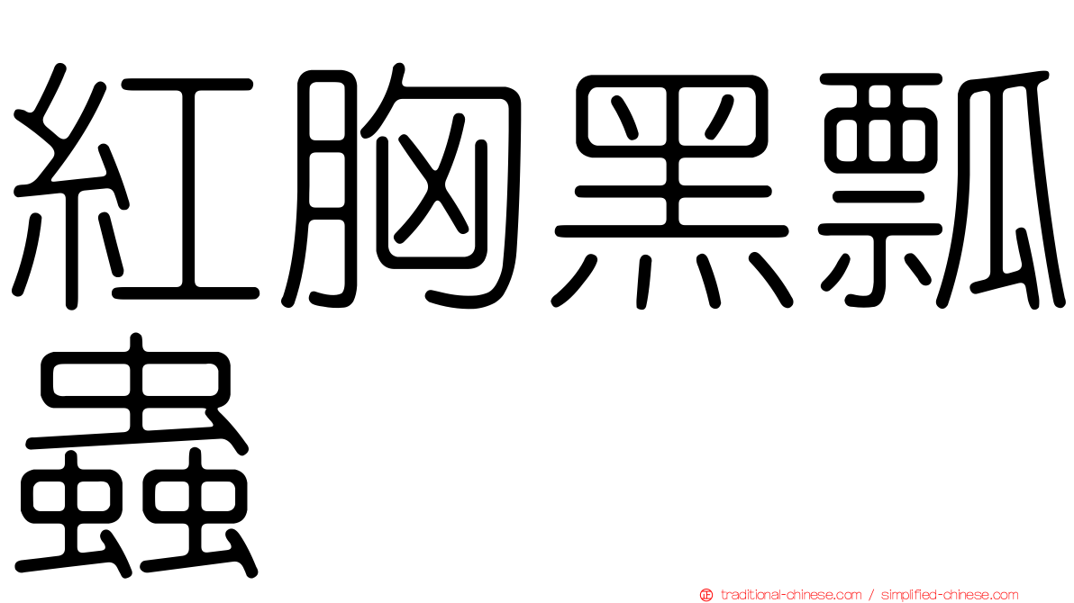 紅胸黑瓢蟲