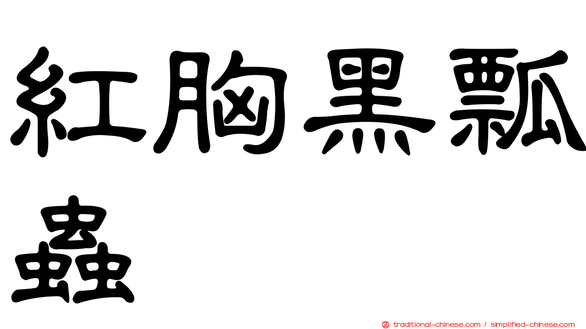 紅胸黑瓢蟲