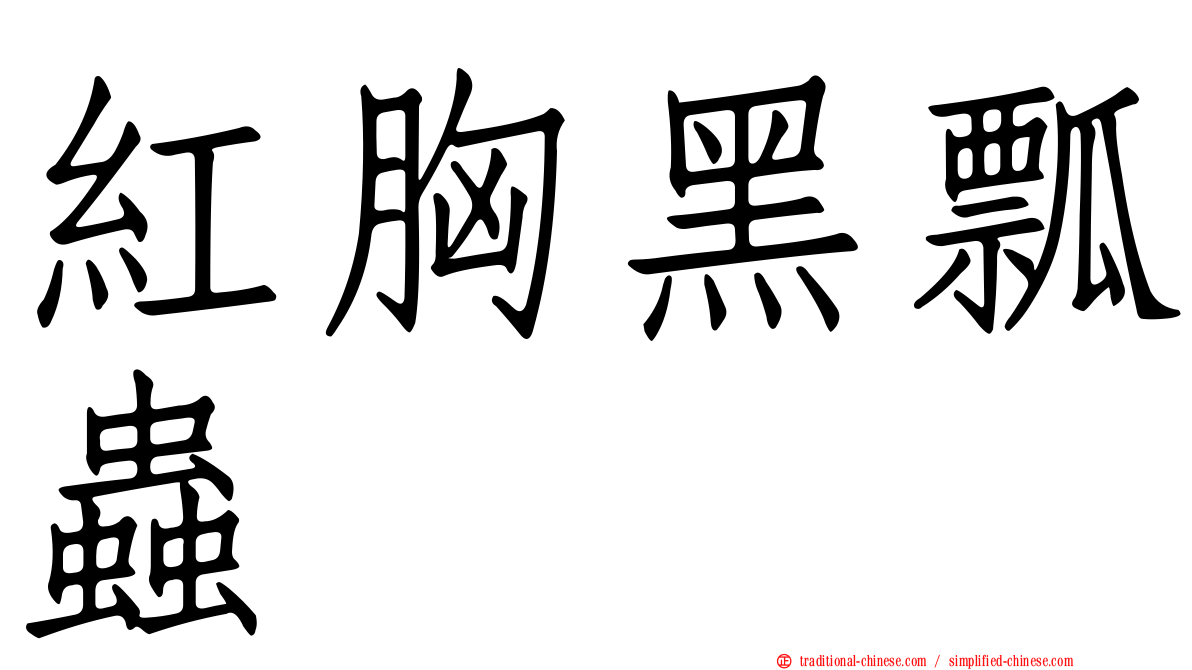 紅胸黑瓢蟲