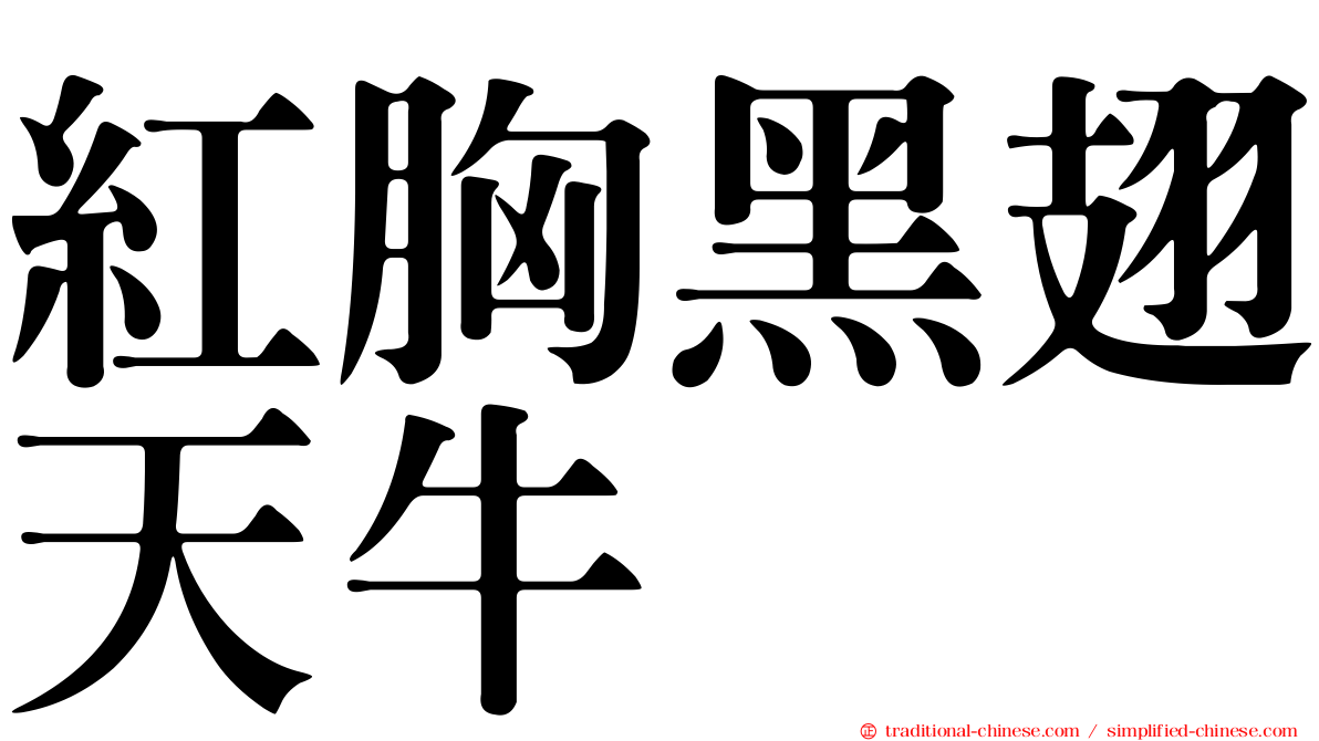 紅胸黑翅天牛