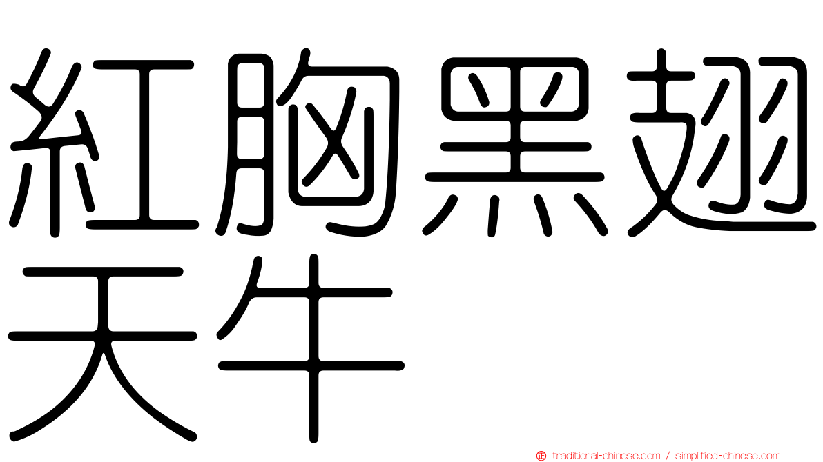 紅胸黑翅天牛