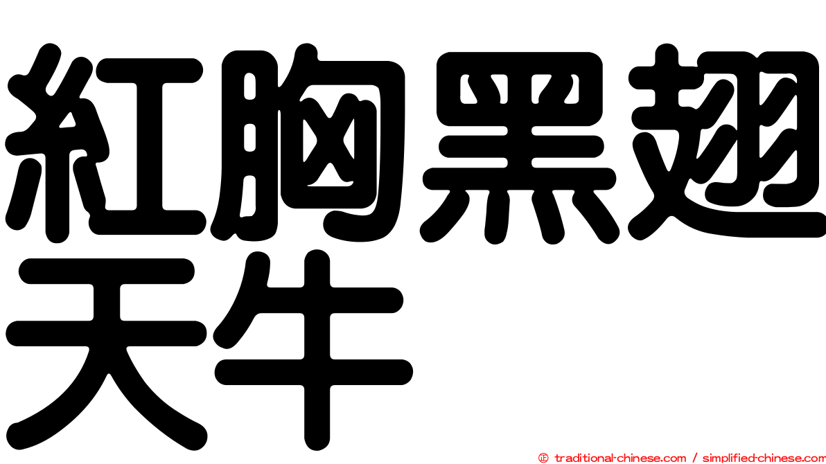 紅胸黑翅天牛