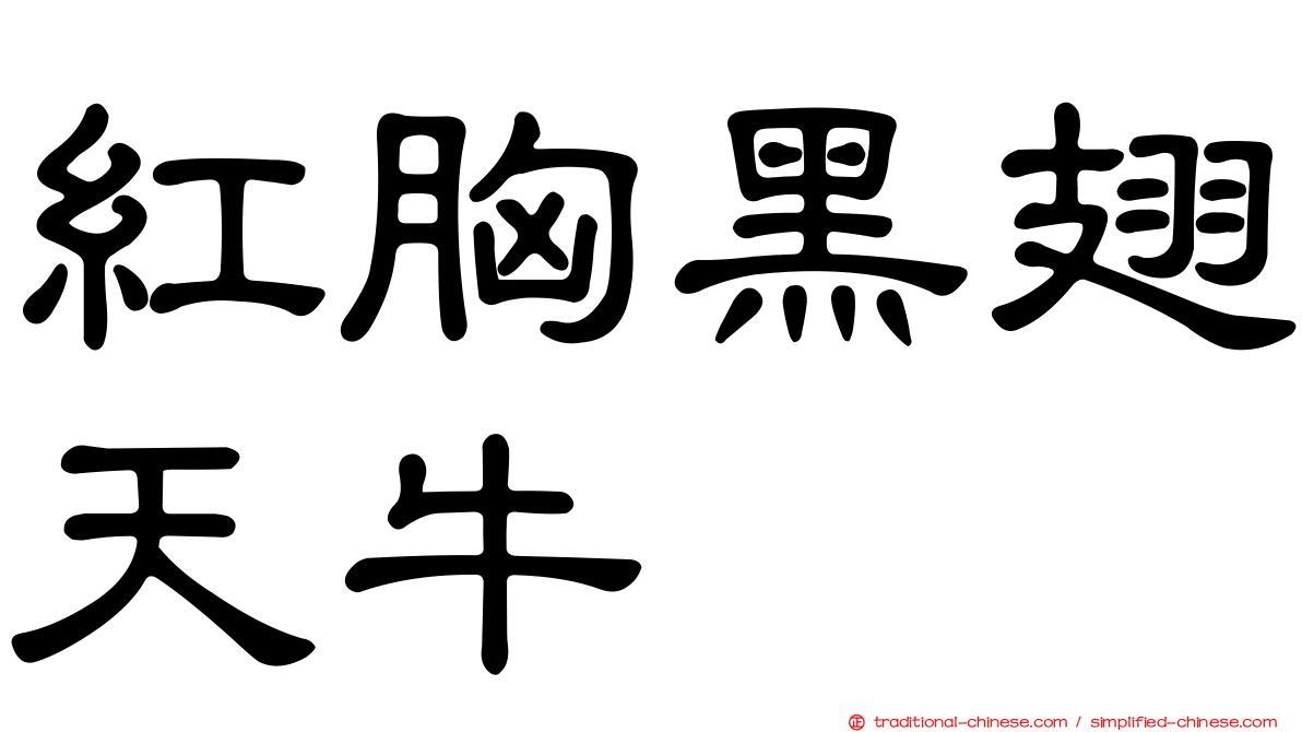 紅胸黑翅天牛