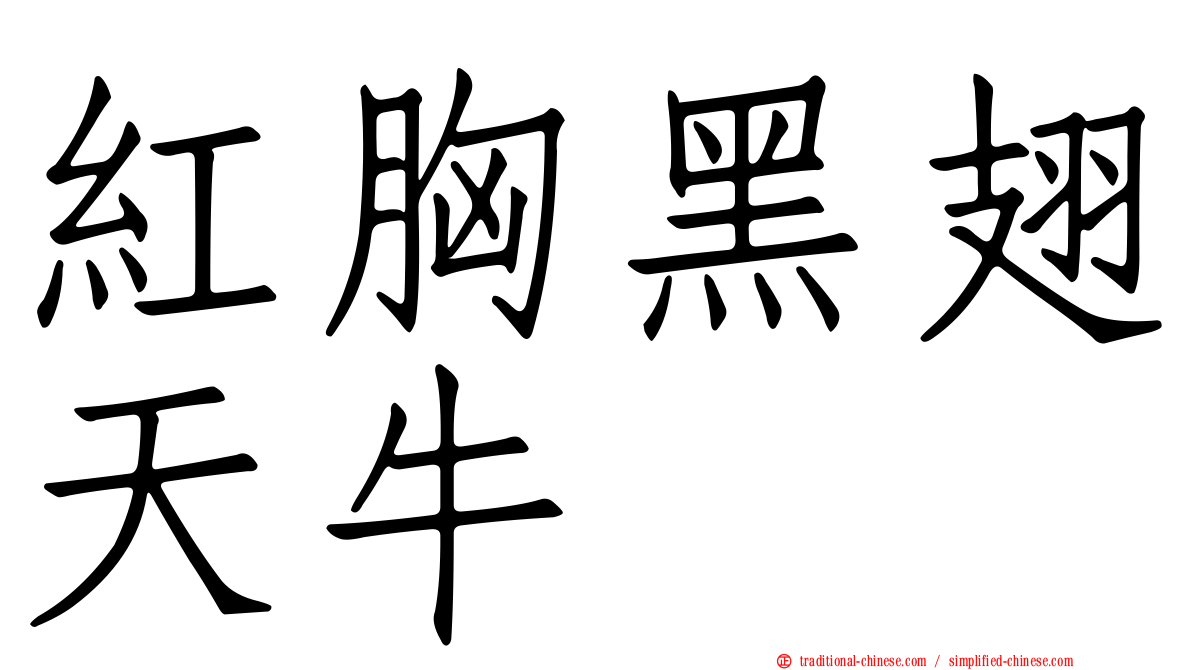 紅胸黑翅天牛