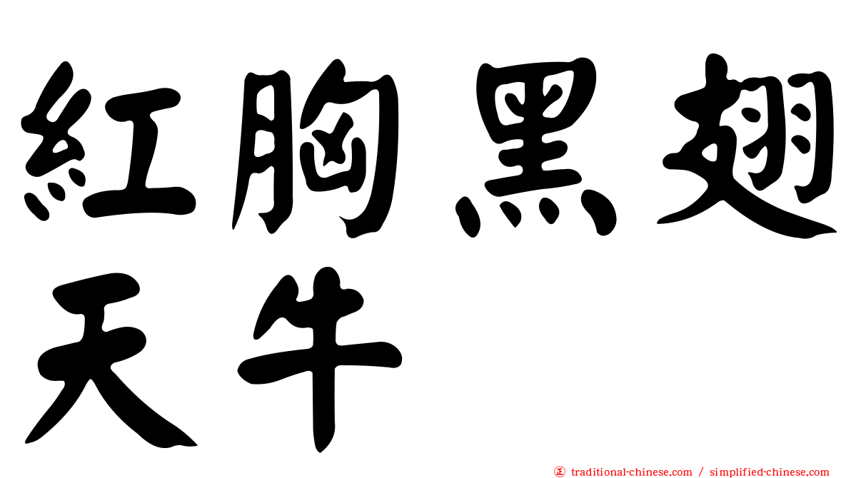 紅胸黑翅天牛