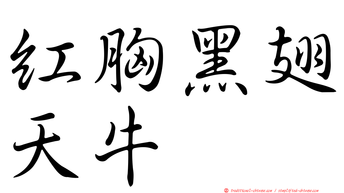 紅胸黑翅天牛