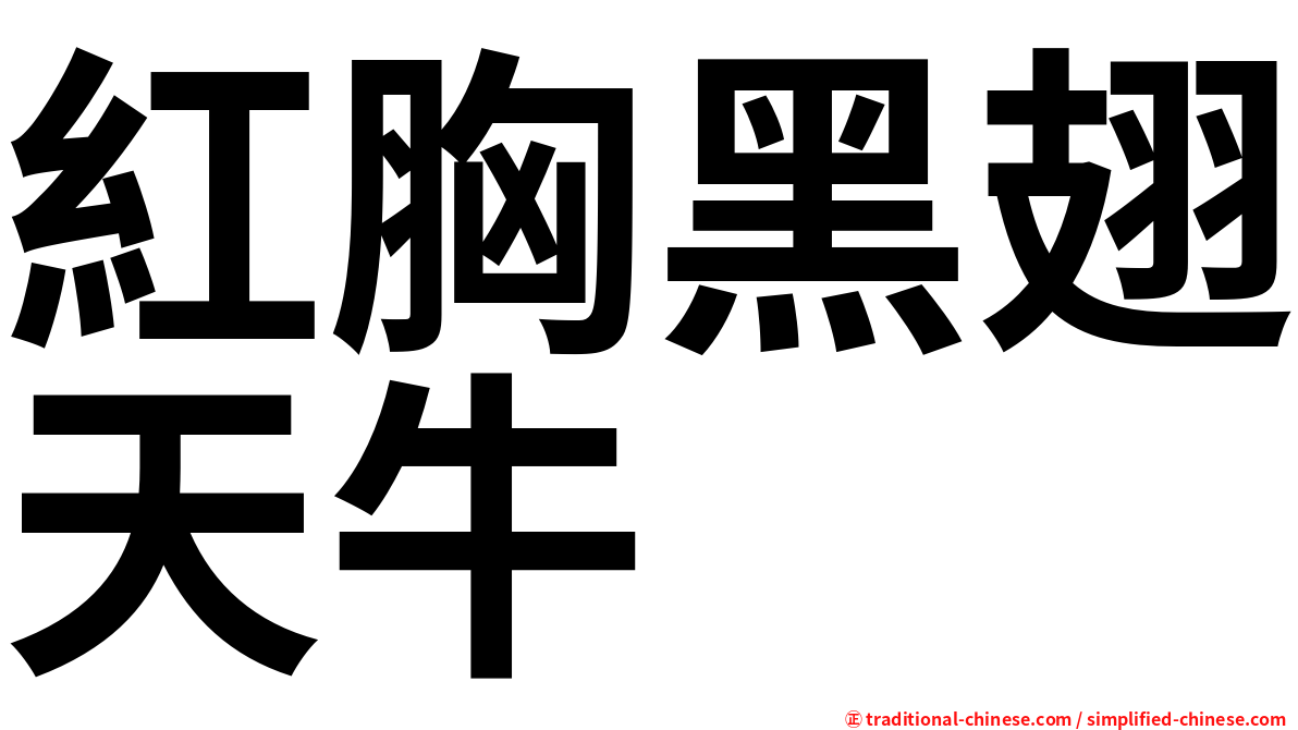 紅胸黑翅天牛