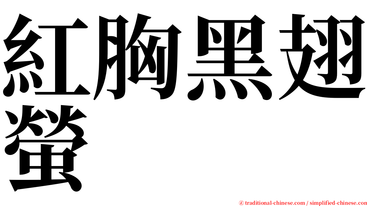 紅胸黑翅螢 serif font