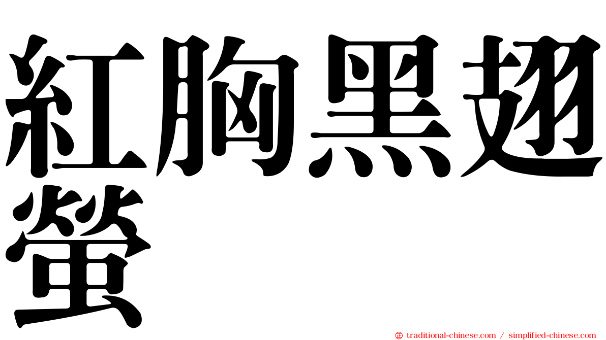 紅胸黑翅螢