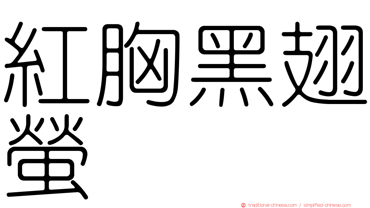 紅胸黑翅螢